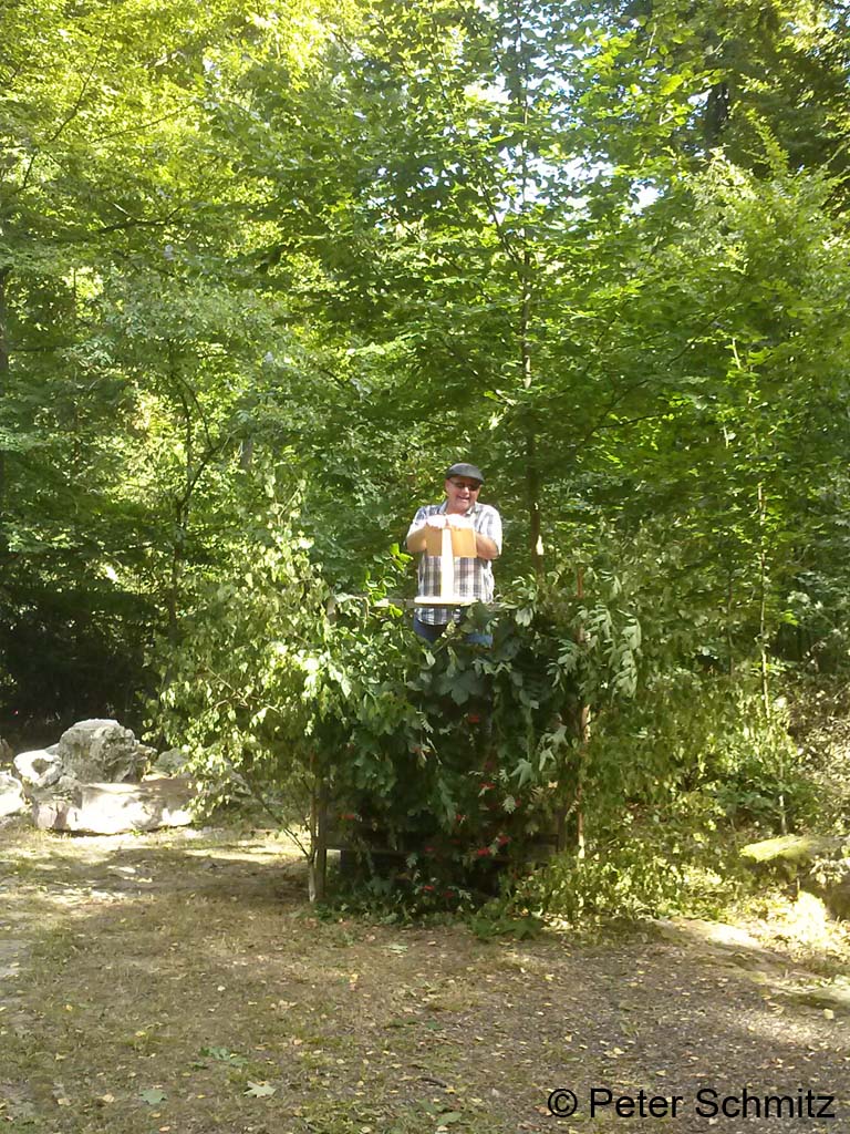 CAM01267